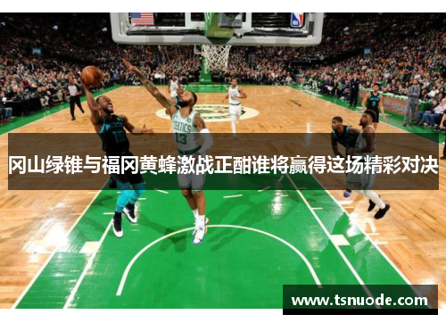 冈山绿锥与福冈黄蜂激战正酣谁将赢得这场精彩对决